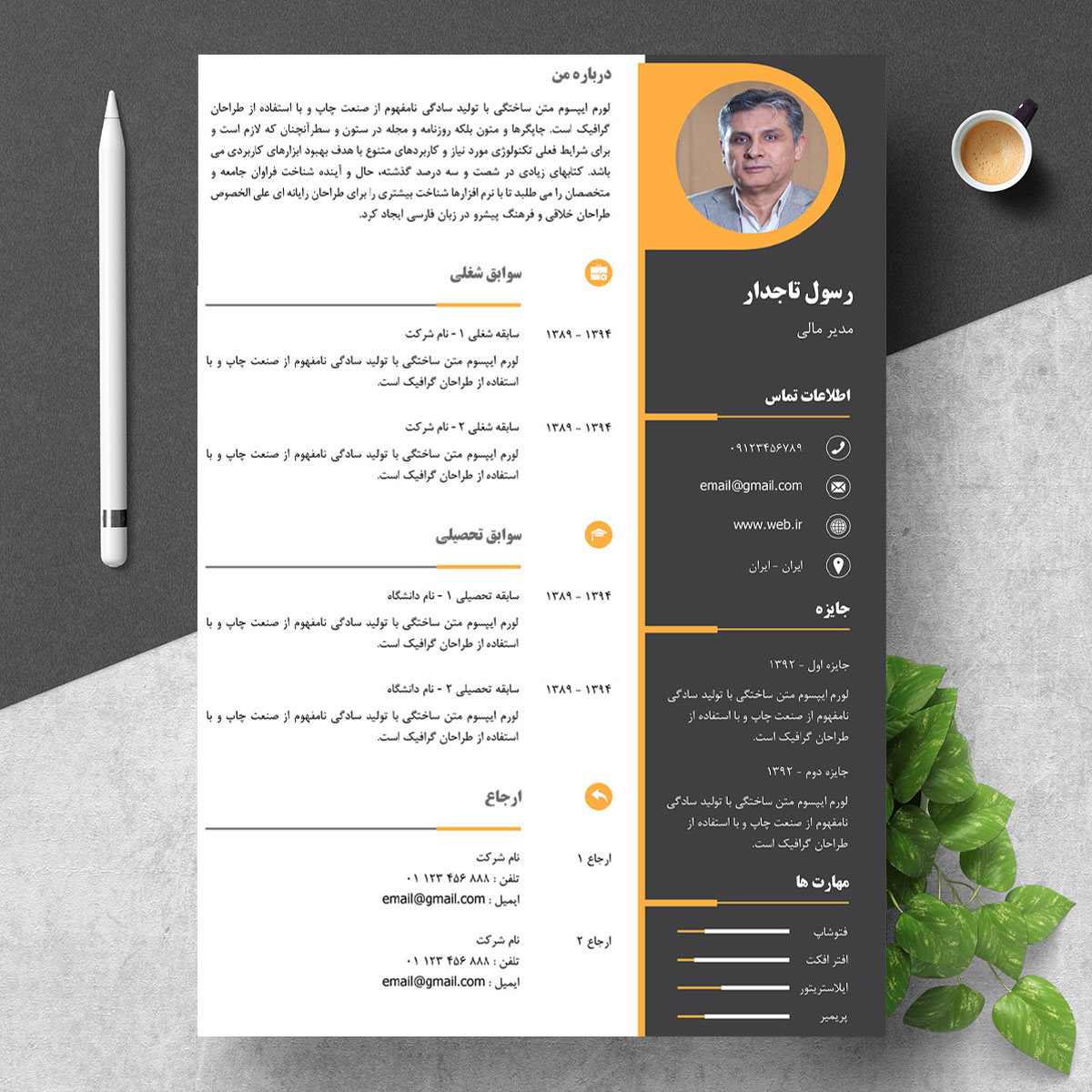 نمونه رزومه مدیر مالی